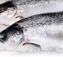 Cá hồi Úc giá sỉ Petuna Size 6-7kg (3 Con/Thùng)