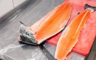 Cung cấp cá hồi tươi giá sỉ tại Hải Phòng