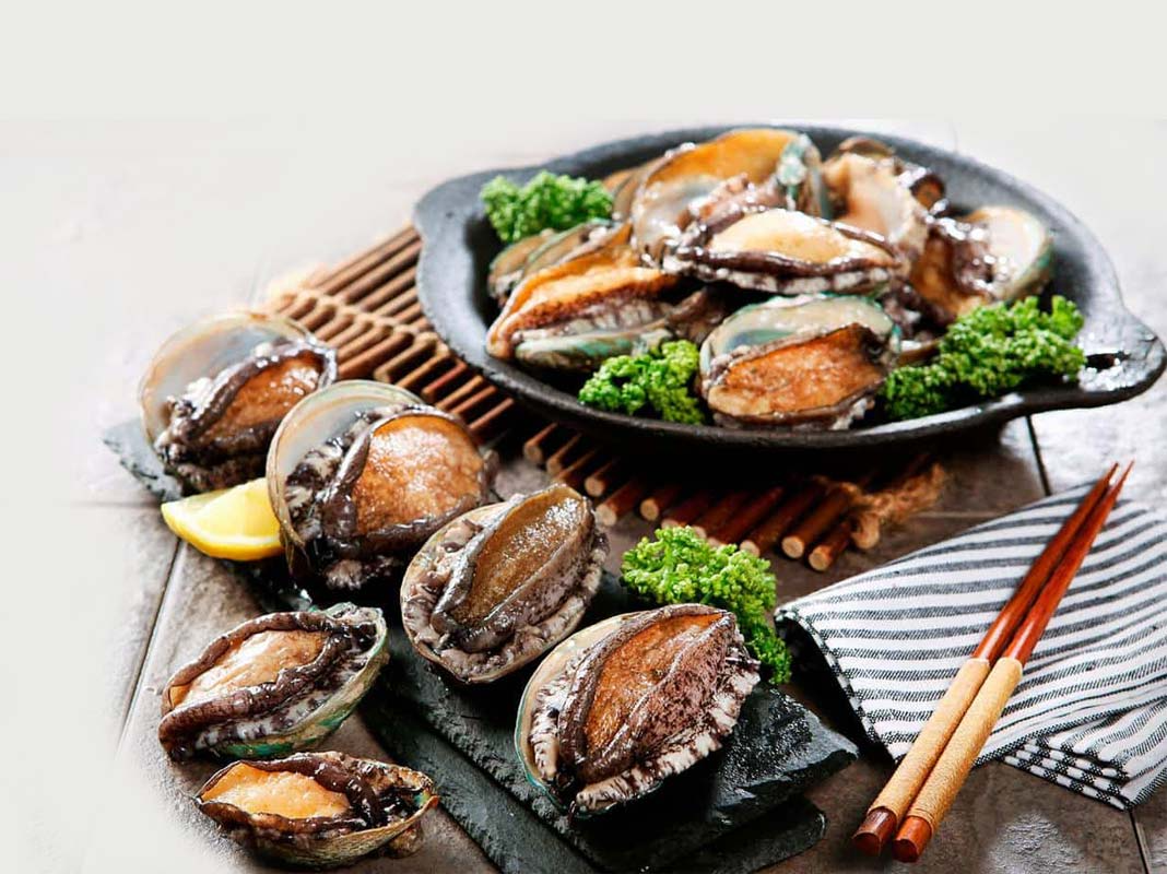 bào ngư tươi, bào ngư giá tốt 