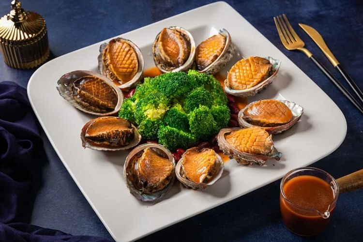 bào ngư tươi, bào ngư giá tốt 