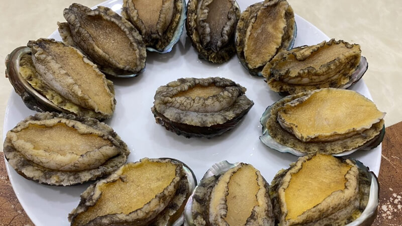 bào ngư tươi, bào ngư giá tốt 