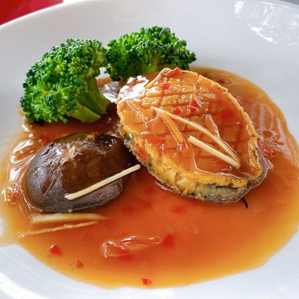 bào ngư tươi, bào ngư giá tốt 