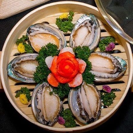 bào ngư tươi, bào ngư giá tốt 