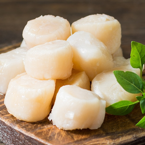 còi sò điệp, sò điệp tươi, sò điệp giá tốt