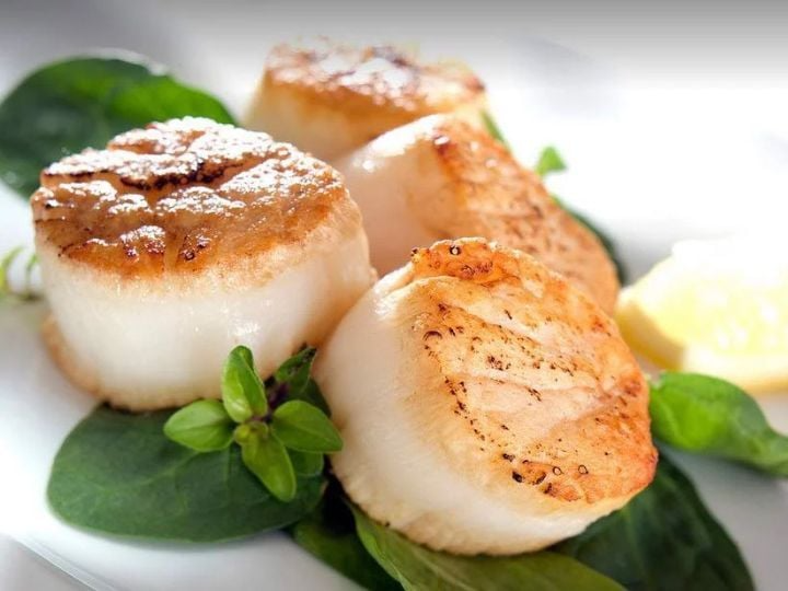 còi sò điệp, sò điệp tươi, sò điệp giá tốt