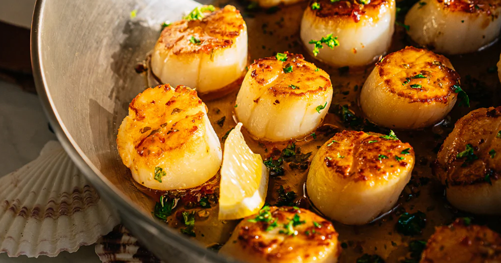 sò điệp tươi, sò điệp giá tốt 