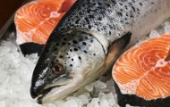 Cá Hồi Phi Lê Nhập Khẩu – Tiện Lợi, Chuẩn Chất Lượng 5 Sao