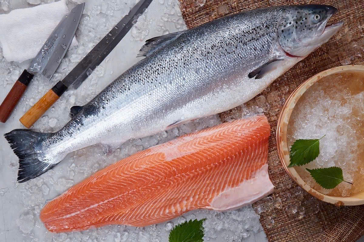 cá hồi đông lạnh, cá hồi tươi, cá hồi giá tốt, cá hồi nhập