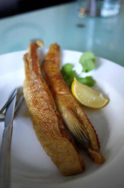 cá hồi tươi, cá hồi giá tốt, cá hồi nguyên con, cá hồi nhập