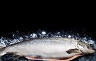Cá Hồi – Từ Sashimi Nhật Bản Đến Steak Chuẩn Âu, Món Ăn Toàn Cầu Yêu Thích